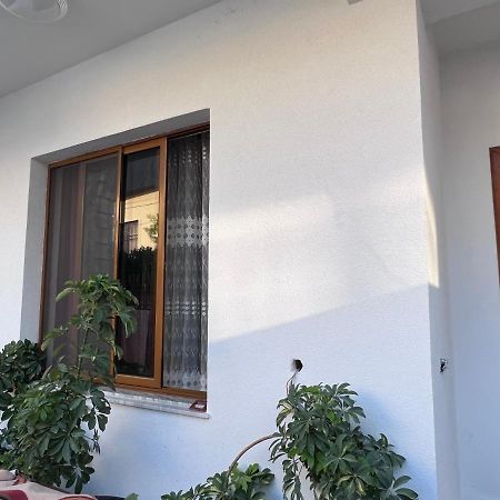 David Guesthouse Σκόδρα Εξωτερικό φωτογραφία